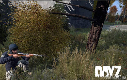 DayZ Standalone: Screenshots zeigen neue Waffe